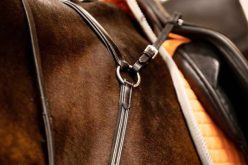 Here’s What You Need To Know About A Deally Horse Breastplate