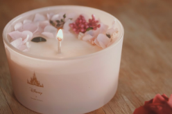 Beautiful Disney-Themed Candle Collection from Short Story
